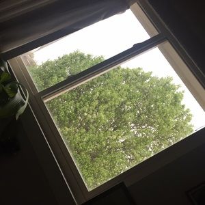 Meet your Posher, Sophia